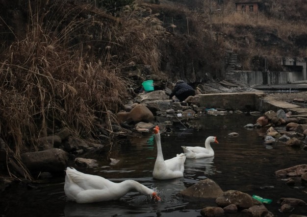 ���Զ�����������